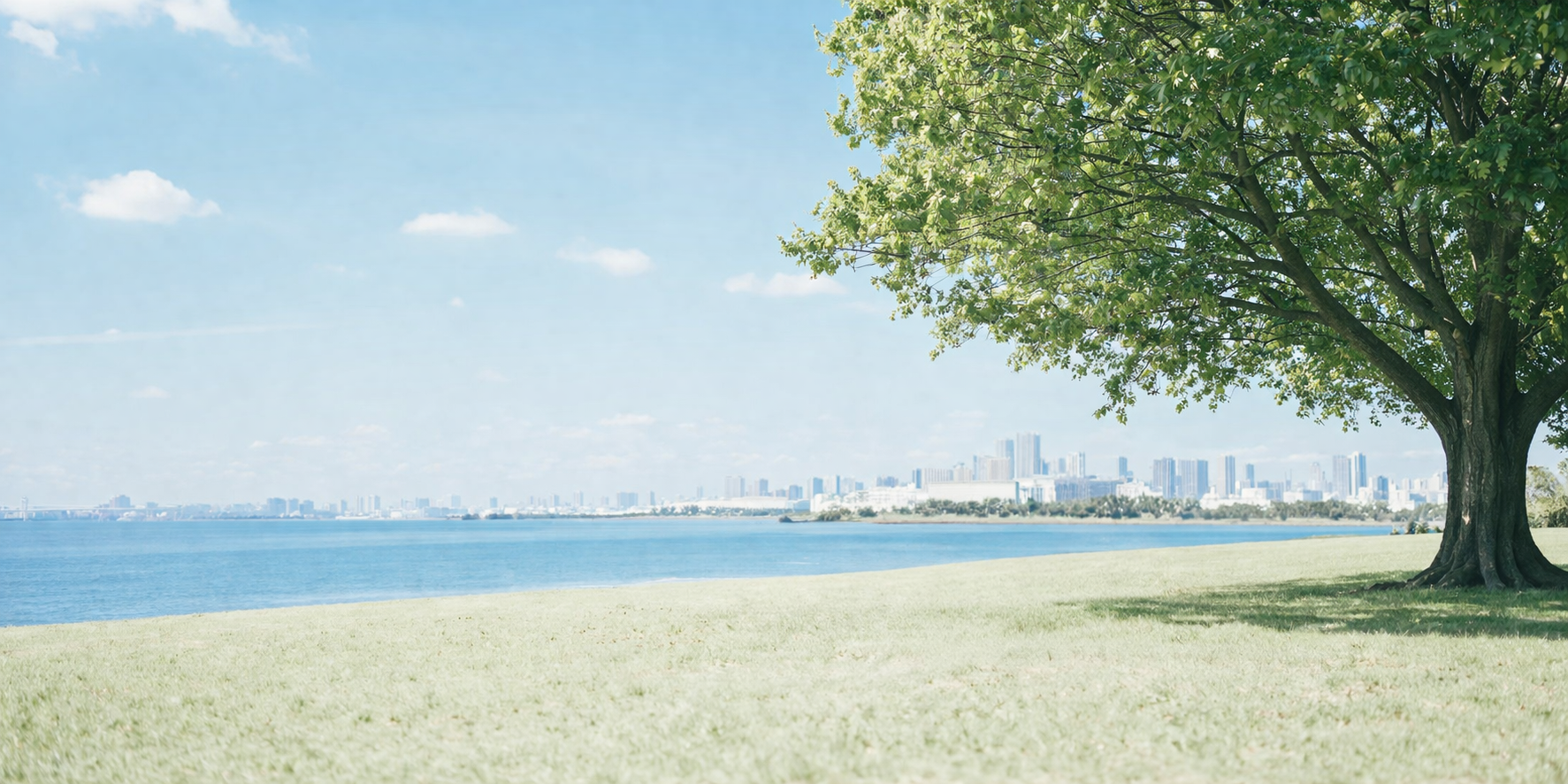 イチョウ並木の写真