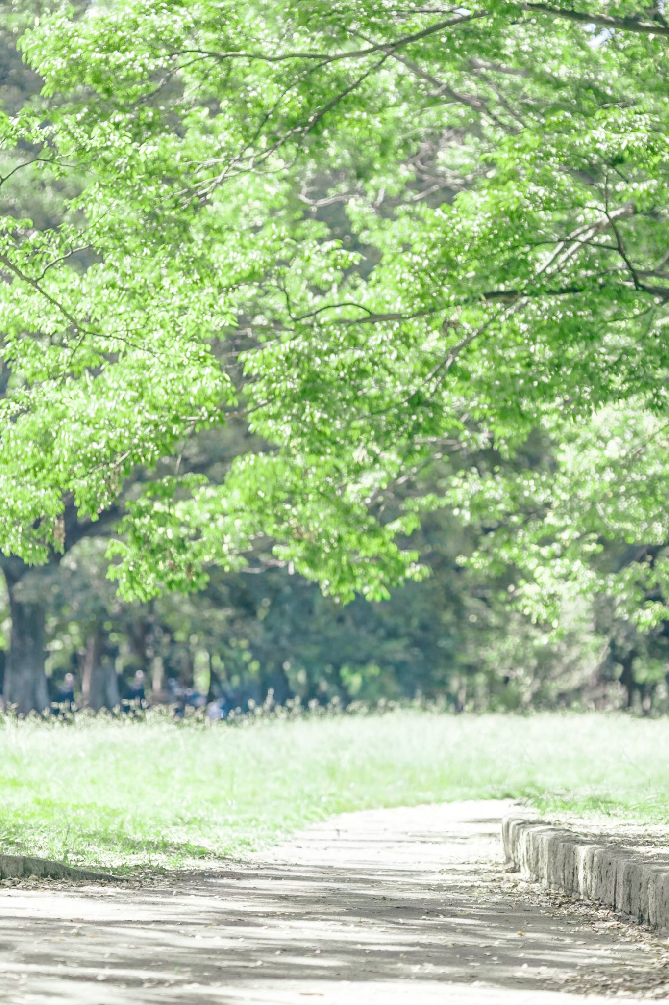 グリーンエリアの紹介ページにに移動するリンクボタン